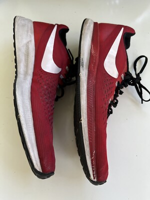 Nike Zoom Pegasus 34 Team Running Sneakers Shoes 887009-601  display picture 3