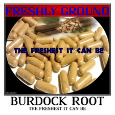 BURDOCK ROOT The Freshest It Can Be Ever Fresh Powder Ground 100 V Capsules