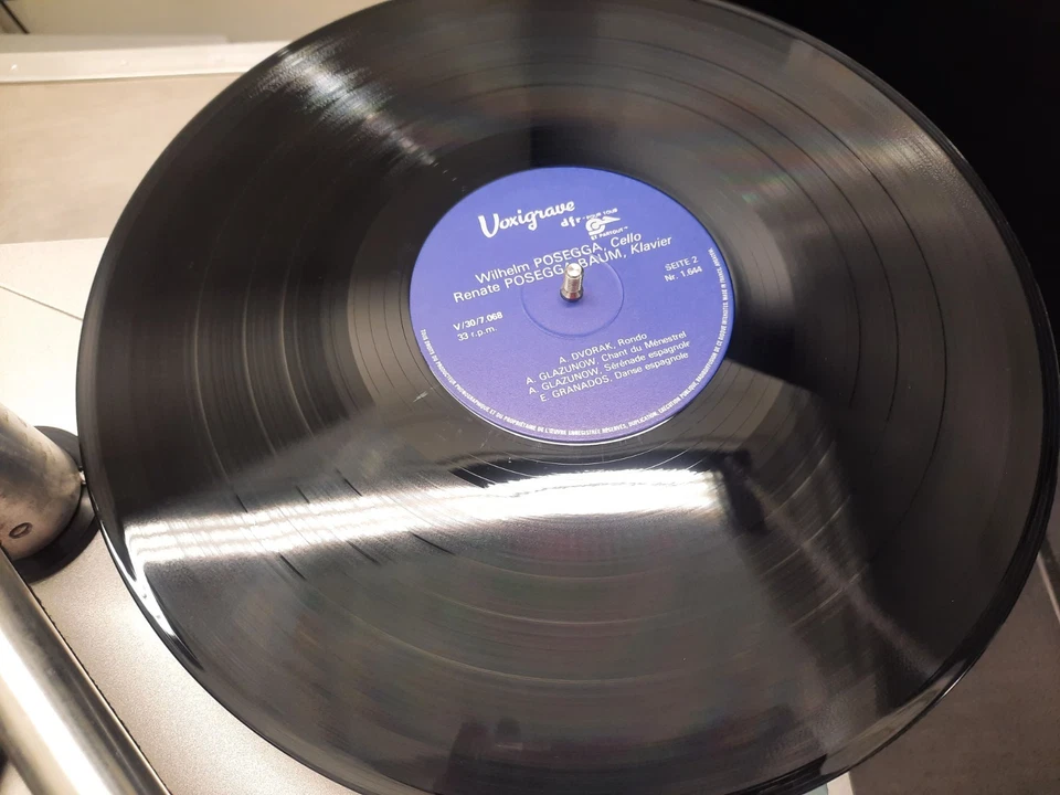 NEAR MINT/NEAR MINT HOLY GRAIL! Wilhelm Posegga Spielt Voxigrave – V. 307068 - Bild 2 von 4