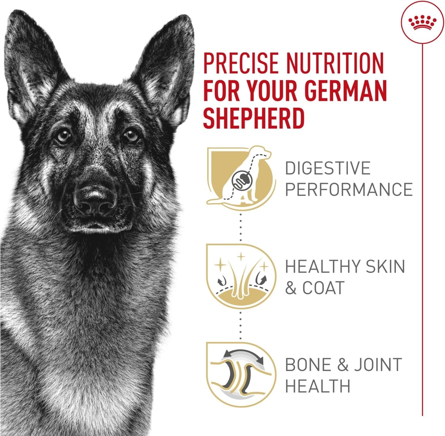 Royal Canin Breed Health Nutrition German Shepherd Adult Dry Dog Food, 30 lbs