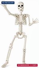 Toolterritary 36" Halloween Skeleton, 3 ft Human Skeleton Full Body Posable Join