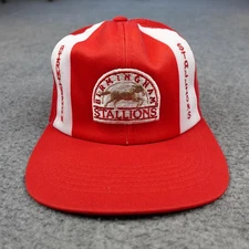 Vintage Birmingham Stallions Hat Cap Snap Back Mens USFL Football Alabama 80s