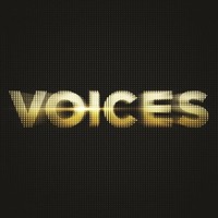 Various Artists - Voices - Cd - G2Z