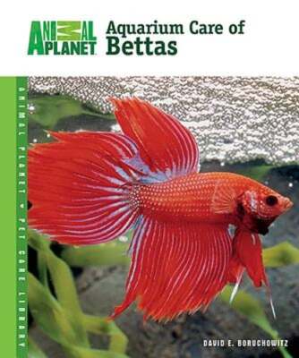 Aquarium Care of Bettas by David E Boruchowitz: Used