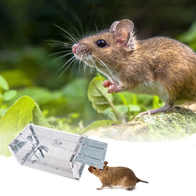 Trap Garden Home Mice Capture Mousetrap Rat Cage Rodent Catcher Mouse Catcher Trap Garden Home Mice Capture Mousetrap Rat Cage Rodent Catcher Mouse Catcher