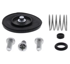 QuadBoss Accelerator Pump Rebuild Kit 420597 qbs420597