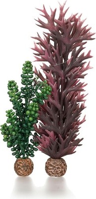 biOrb 55073 Seeperlen & Seetang olivgrün   Aquariendeko aus zwei kü