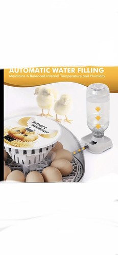 Incubator - Picture 6 of 8