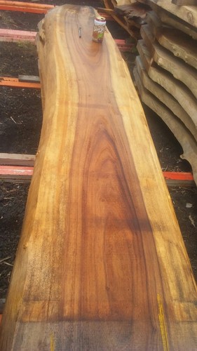 EXOTIC HAWAIIAN MONKEYPOD NATURAL EDGE BLANK SLAB COFFEE SOFA TABLE FURNITURE - Picture 7 of 10