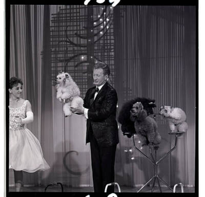 Anden'S Poodles On Hollywood Palace 1964 OLD TV PHOTO 6