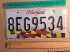 License Plate, Maryland, 2019 holograms, 8 EG 9534