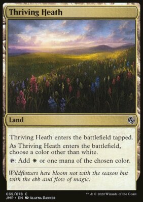 Magic the Gathering MTG Thriving Heath (35) Jumpstart   NM