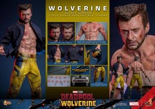 Hot Toys Deadpool & Wolverine TVA Jacket Version 1 6 scale Figure Marvel MMS756