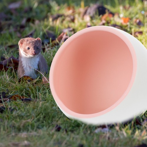 Animaux Nid En Céramique Pour Hamster Maisonnette Rongeur économies Habitat