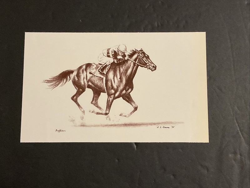 RUFFIAN  sketch 8 X 5 Horse Racing 1974 1975 CHAMPION FILLY
