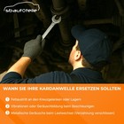 Bild 5 von 6
