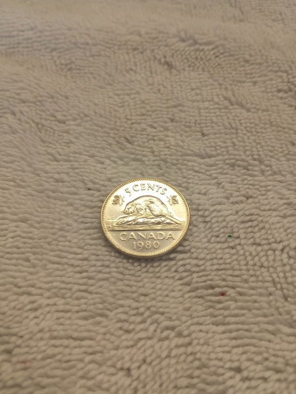 1980 Canadian 5 Cent Nickel Beaver Coin Circulated