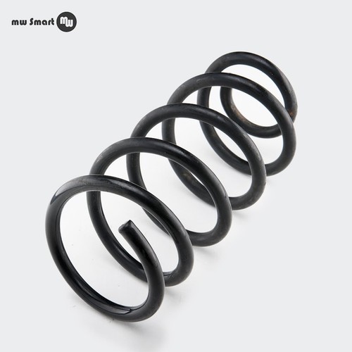 Feder Smart Fortwo 450 Hinten Original Smart gebraucht