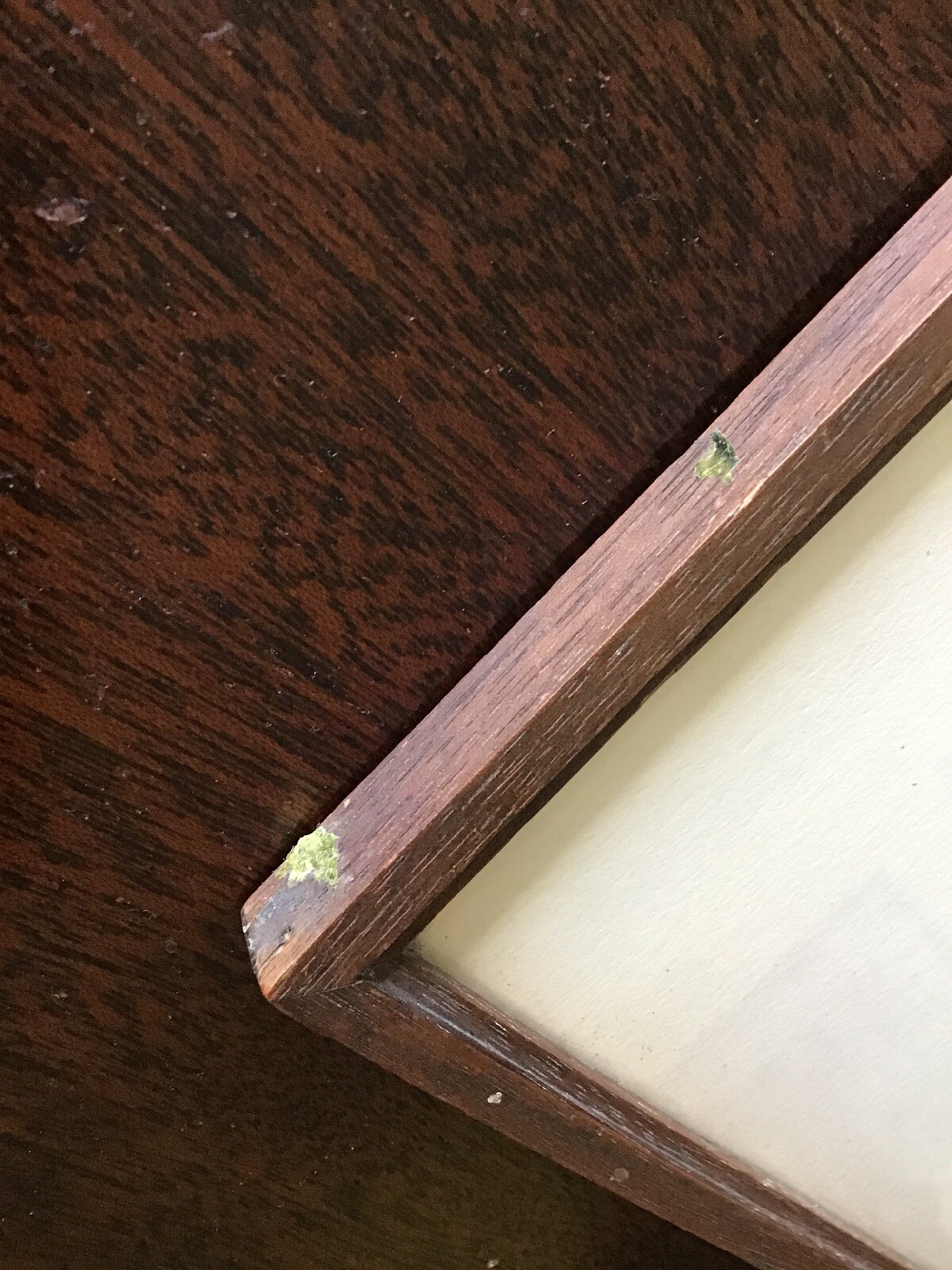 Picture 6 of 8