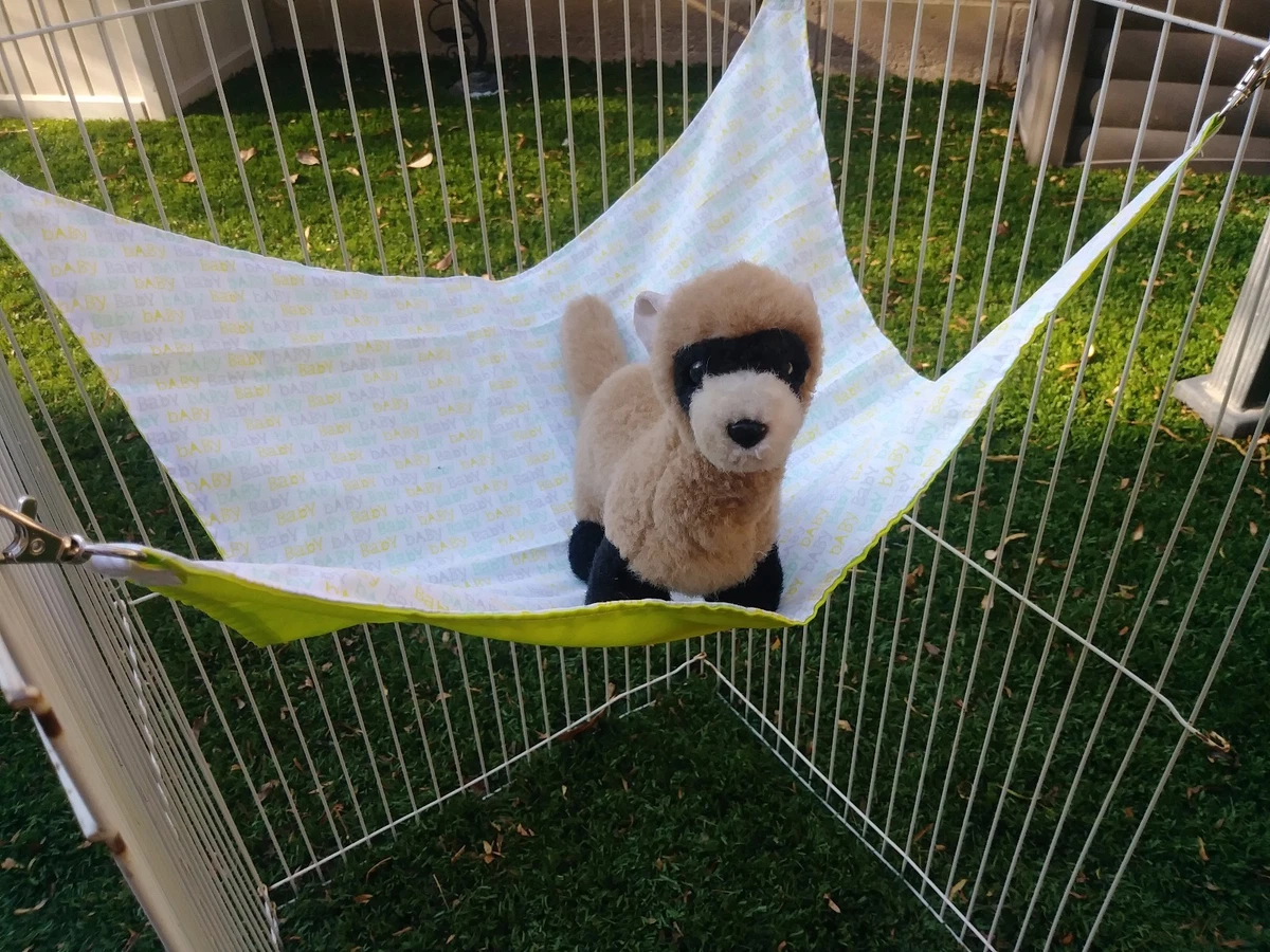 Ferret Hammock Baby Pattern 13