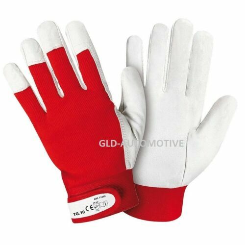 Guanti In Cotone Con Puntini PVC 12 Paia Bianco Taglia Unica Antitaglio Ed EN 420