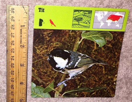 VINTAGE Bird Species CARD - Tit - 1975-1976 PRINTED IN JAPAN - Picture 4 of 4