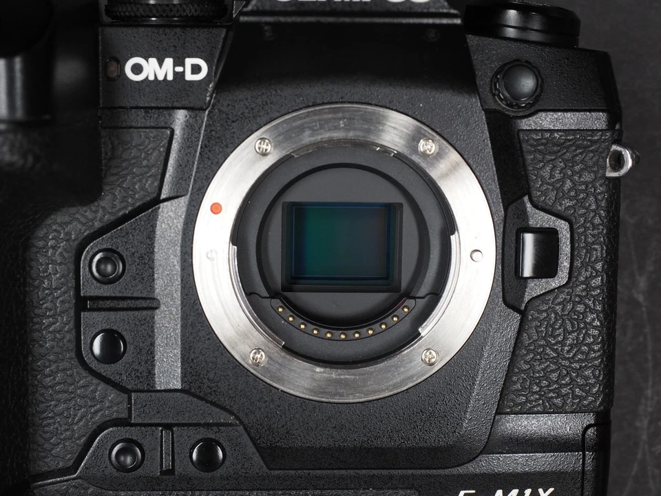 Olympus OM-D E-M1X +ca. 5   Tsd. Auslösungen + TOP - Bild 2 von 4