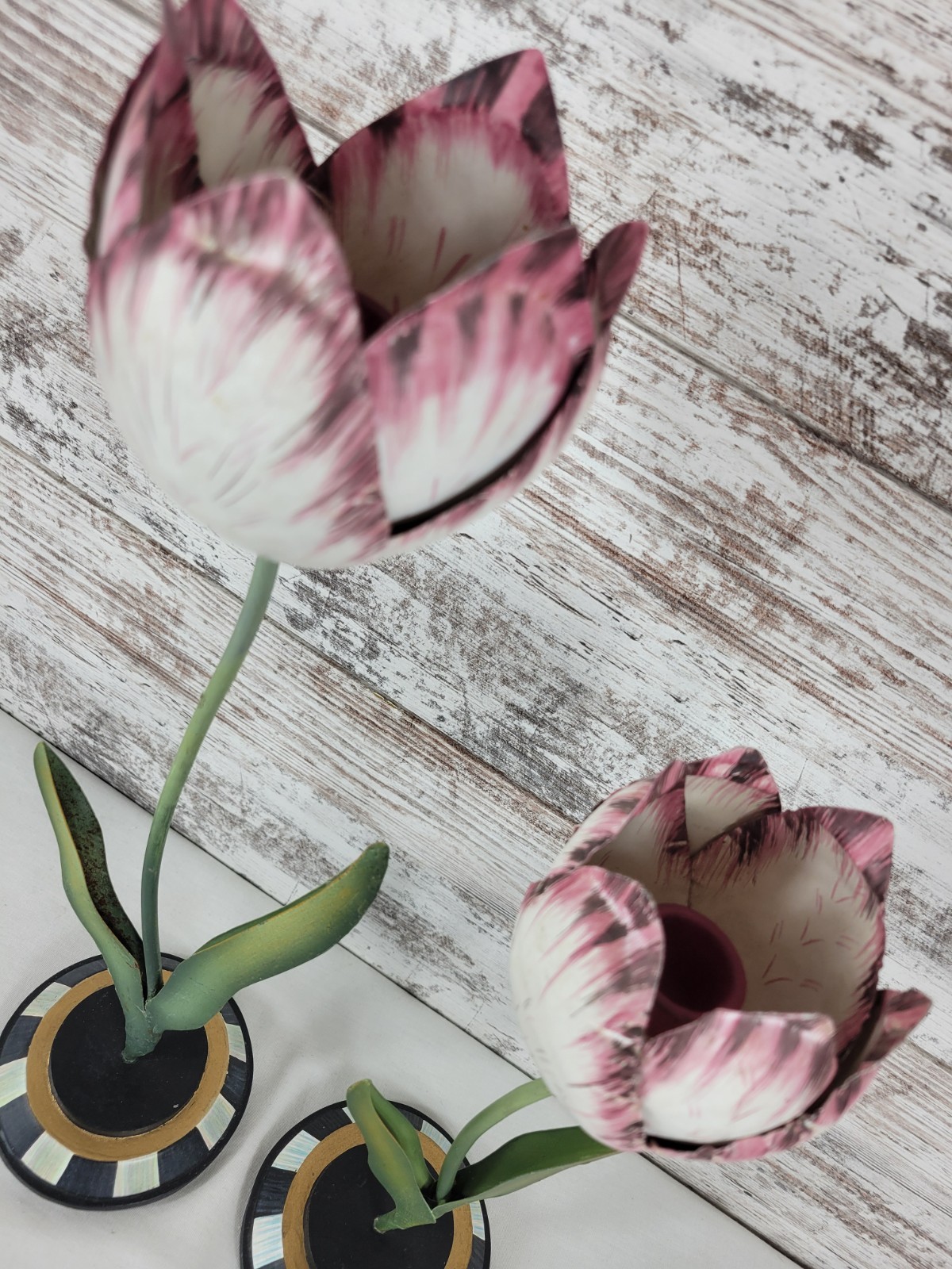 Bild 7 von 11