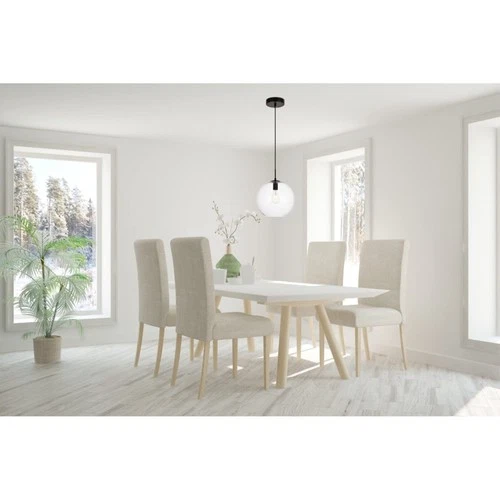 Living District Placido 1-Light Transitional Metal Pendant - Black & Clear - Picture 2 of 6