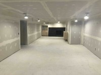 HOME RENOVATION AND EXPERT PAINTER 343-805-5773