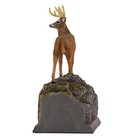 Picture 4 of 5