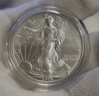 2006-W American Silver Eagle 1 oz .999 $1 Burnished Satin Finish