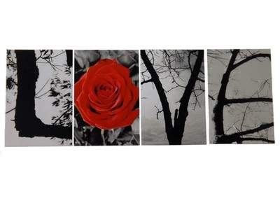 LOVE Pics Only Photograph Word Letter Art Alphabet Rose Home Office Decor Gift