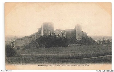 AXLP6-0337-41 - MONTOIRE - Die Ruinen Der Burg - Ansichten Vom Süden
