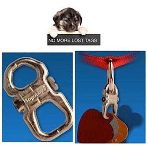 dog tag holder