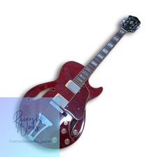 Ibanez AG85 TRD Full Hollow E-Gitarre
