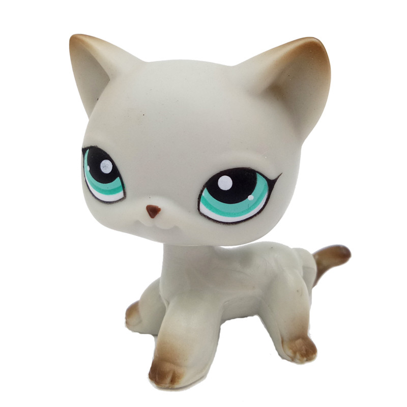 petsmart shop near me