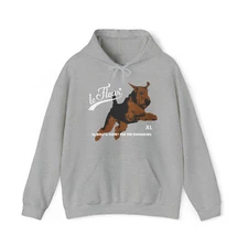Tyler The Creator Golf Le Fleur Daryl Hoodies