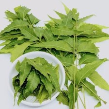 100g Dried Neem Leaves Powder Organic Ceylon Azadirachta Indica Premium Grade A