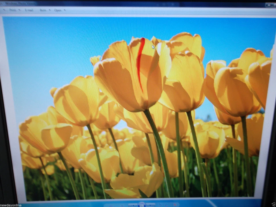 Dell UltraSharp 19" Widescreen Monitor 1908WFP w/4-Port Hub VGA DVI GP004 G435H - Image 2 of 4