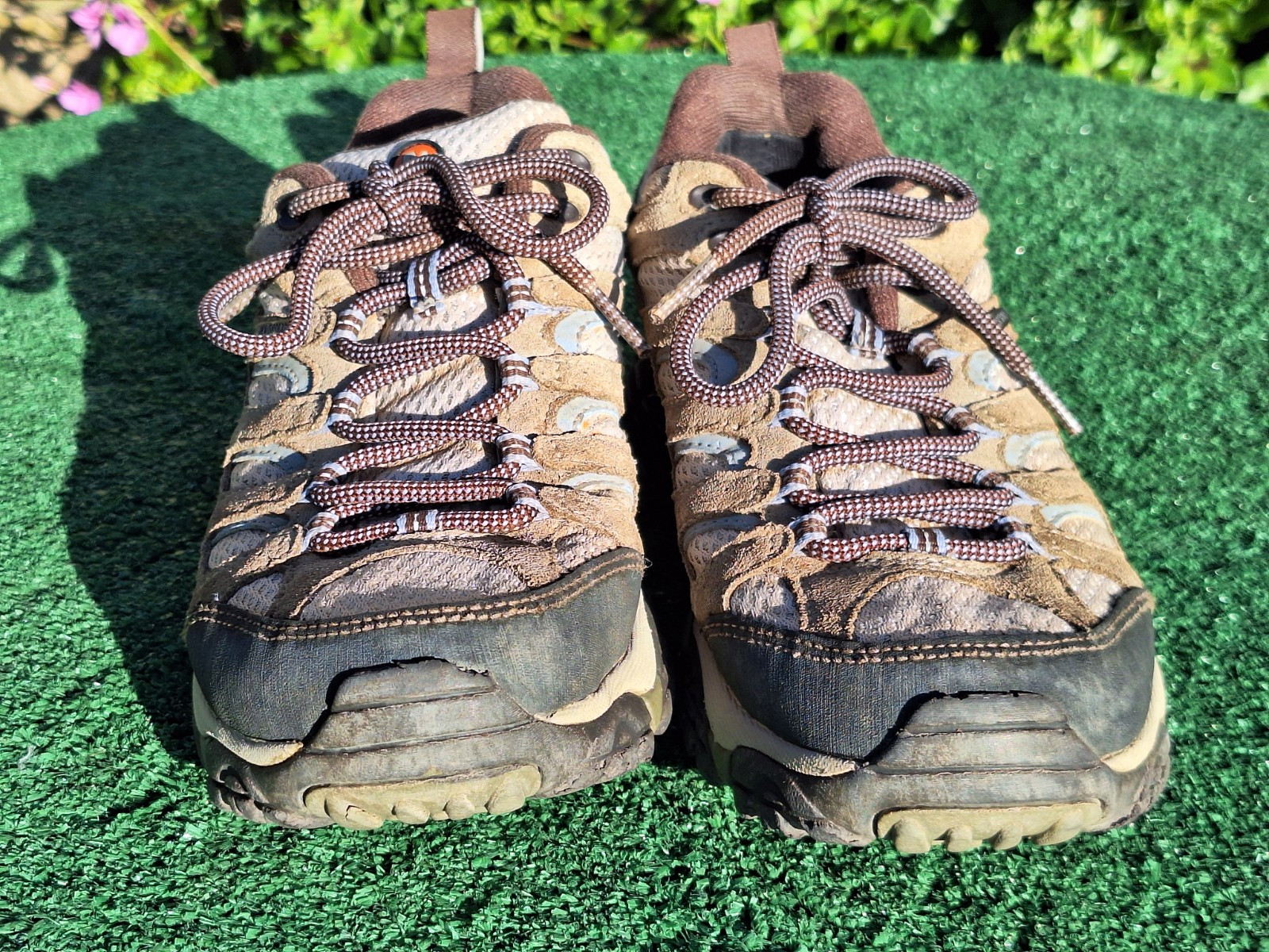 Merrell Moab 2 scarponi da trekking impermeabili da donna taglia 8 5 oliva polverosa J88796 usati in ottime condizioni