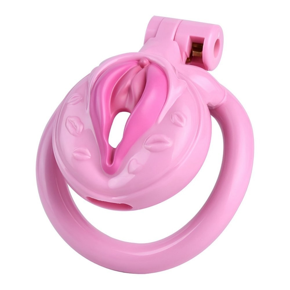 FRRK 2025 NEW Design Male Chastity Device Inverted Lock Cage 4 Rings ...