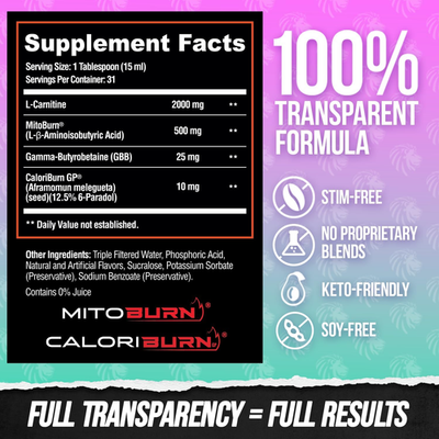 alpha lion burn2o l-carnitine liquid 2000mg ALPHA LION Burn2O L-Carnitine Liquid 2000Mg – Stim Free Super Thermogenic Fat Bu