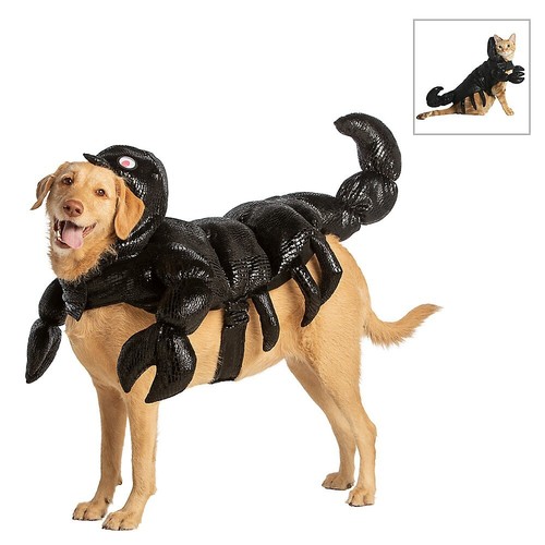 brown cow costume for dogs