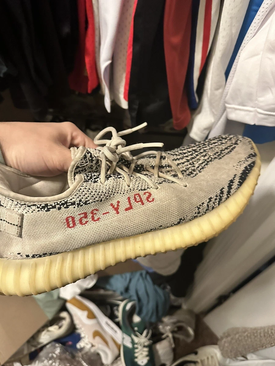 Yeezy zebra size 13 sale