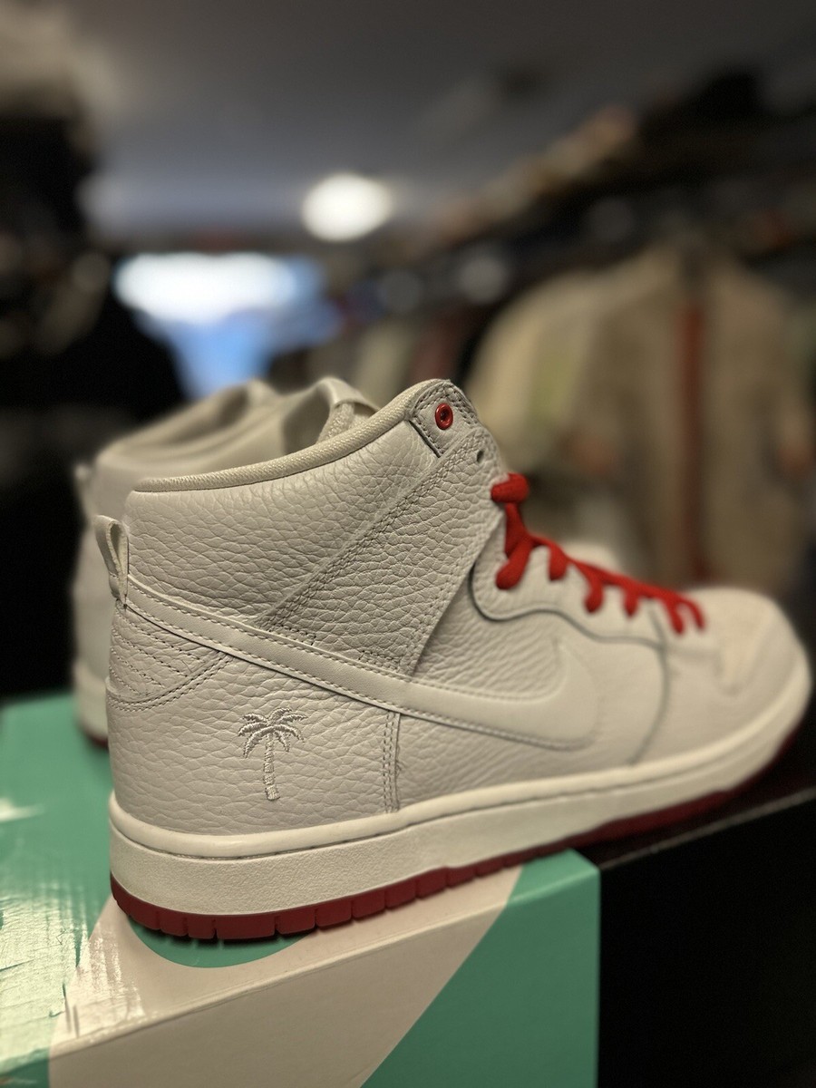 Size 11 - Nike Kevin Bradley x SB Zoom Dunk Pro High Kevin