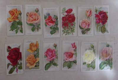 1926 W.D. & H.O. WILLS ROSES 12 DIFFERENT TOBACCO CARD LOT