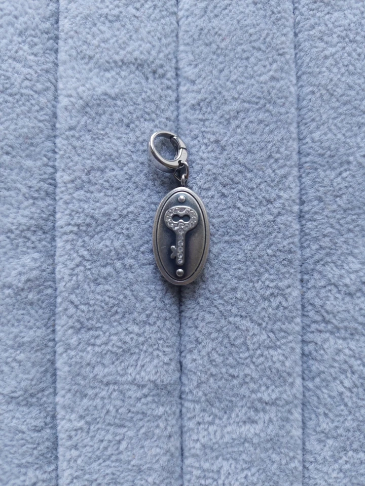 Schöner Edelstahl Charm Anhänger Fossil Medallion mit Schlüssel Farbe silber - Bild 2 von 4