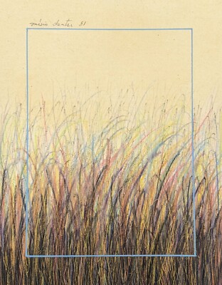 Anisio Dantas, Grasslandschaft in Beige, Siebdruck, signiert, datiert, 1981