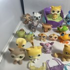Foto 2 di 9
